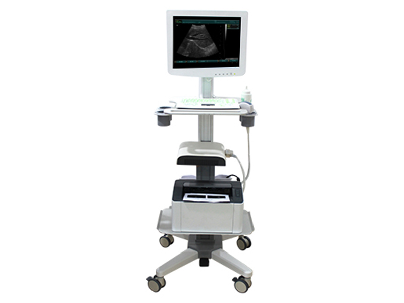 SS-100 Touchscreen Trolley Typ Ultraschallbildgebung diagnostisches Instrument (B-Ultraschall)